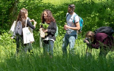 Stage Plantes, Randonnée & Yoga